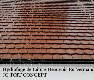 Hydrofuge de toiture  beauvois-en-vermandois-02590 JC TOIT CONCEPT