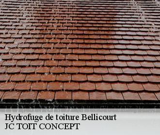 Hydrofuge de toiture  bellicourt-02420 JC TOIT CONCEPT