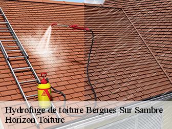 Hydrofuge de toiture 02450