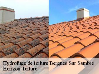 Hydrofuge de toiture