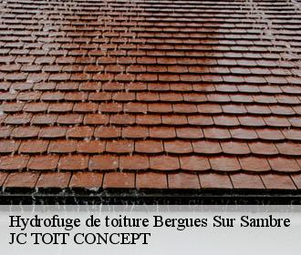 Hydrofuge de toiture  bergues-sur-sambre-02450 JC TOIT CONCEPT