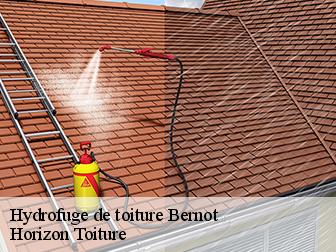 Hydrofuge de toiture 02120