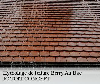 Hydrofuge de toiture  berry-au-bac-02190 JC TOIT CONCEPT