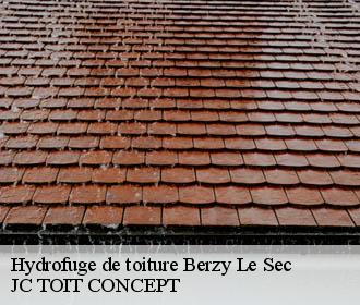 Hydrofuge de toiture  berzy-le-sec-02200 JC TOIT CONCEPT