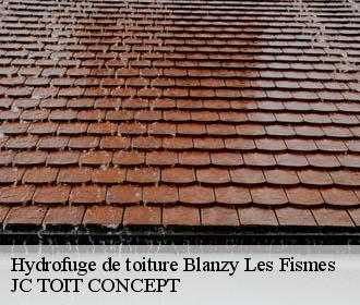 Hydrofuge de toiture  blanzy-les-fismes-02160 JC TOIT CONCEPT