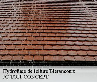 Hydrofuge de toiture  blerancourt-02300 JC TOIT CONCEPT