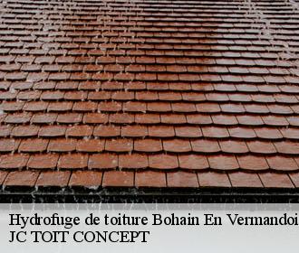 Hydrofuge de toiture  bohain-en-vermandois-02110 JC TOIT CONCEPT