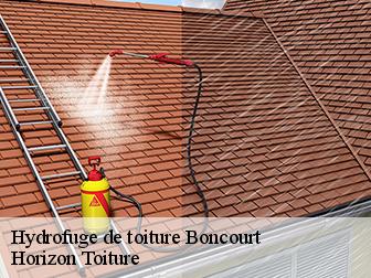 Hydrofuge de toiture 02350