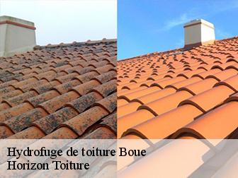 Hydrofuge de toiture