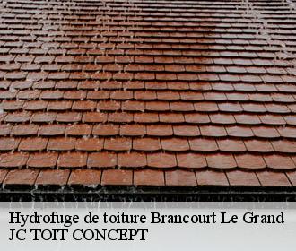 Hydrofuge de toiture  brancourt-le-grand-02110 JC TOIT CONCEPT