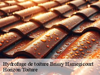 Hydrofuge de toiture brissy-hamegicourt-02240 Horizon Toiture