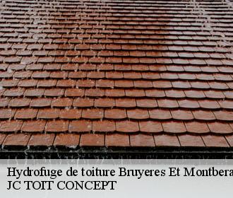 Hydrofuge de toiture  bruyeres-et-montberault-02860 JC TOIT CONCEPT