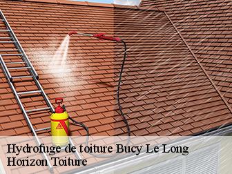 Hydrofuge de toiture 02880