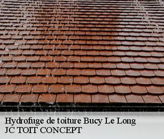 Hydrofuge de toiture  bucy-le-long-02880 JC TOIT CONCEPT
