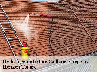Hydrofuge de toiture 02300