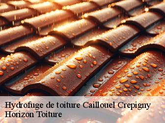 Hydrofuge de toiture caillouel-crepigny-02300 Horizon Toiture