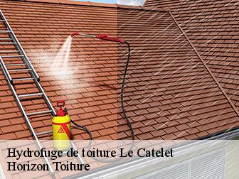 Hydrofuge de toiture 02420