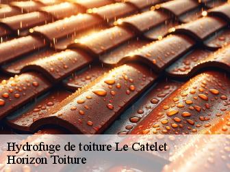 Hydrofuge de toiture le-catelet-02420 Horizon Toiture