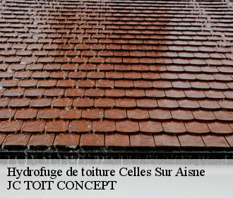 Hydrofuge de toiture  celles-sur-aisne-02370 JC TOIT CONCEPT
