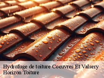 Hydrofuge de toiture coeuvres-et-valsery-02600 Horizon Toiture