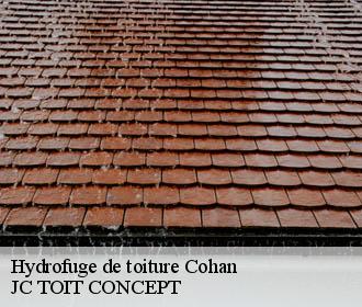 Hydrofuge de toiture  cohan-02130 JC TOIT CONCEPT