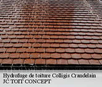 Hydrofuge de toiture  colligis-crandelain-02860 JC TOIT CONCEPT