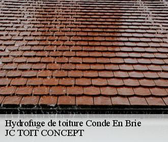 Hydrofuge de toiture  conde-en-brie-02330 JC TOIT CONCEPT