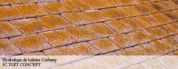 Hydrofuge de toiture  02820