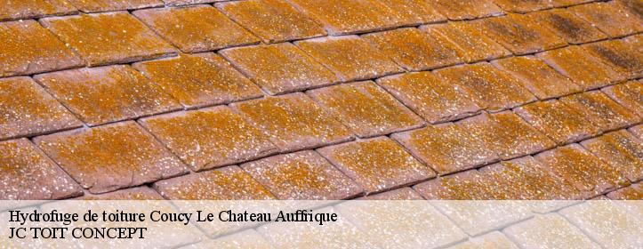 Hydrofuge de toiture  02380