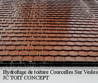 Hydrofuge de toiture  courcelles-sur-vesles-02220 JC TOIT CONCEPT