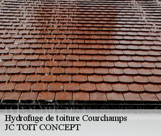 Hydrofuge de toiture  courchamps-02810 JC TOIT CONCEPT