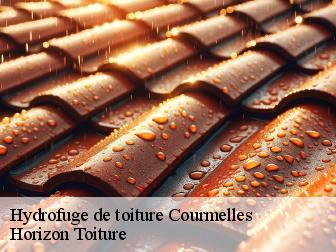 Hydrofuge de toiture courmelles-02200 Horizon Toiture