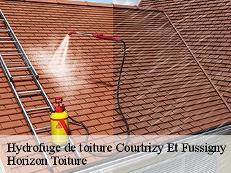 Hydrofuge de toiture 02820