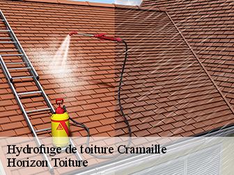 Hydrofuge de toiture 02130
