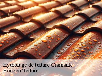 Hydrofuge de toiture cramaille-02130 Horizon Toiture