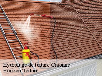 Hydrofuge de toiture 02160