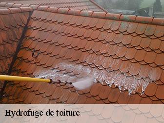 Hydrofuge de toiture 02870