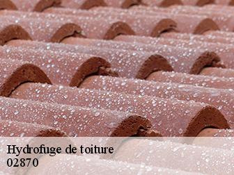 Hydrofuge de toiture
