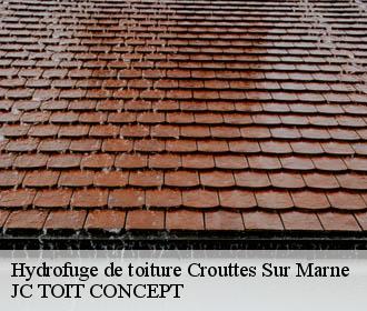 Hydrofuge de toiture  crouttes-sur-marne-02310 JC TOIT CONCEPT
