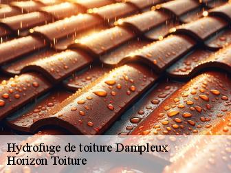 Hydrofuge de toiture dampleux-02600 Horizon Toiture