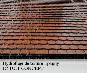 Hydrofuge de toiture  epagny-02290 JC TOIT CONCEPT