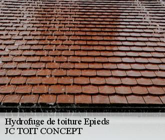 Hydrofuge de toiture  epieds-02400 JC TOIT CONCEPT