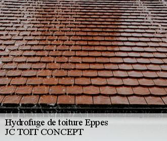 Hydrofuge de toiture  eppes-02840 JC TOIT CONCEPT