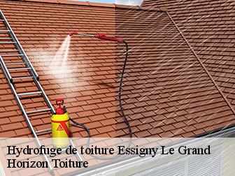 Hydrofuge de toiture 02690
