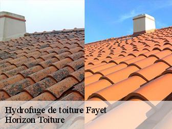 Hydrofuge de toiture