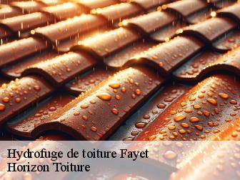 Hydrofuge de toiture fayet-02100 Horizon Toiture