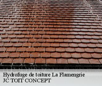 Hydrofuge de toiture  la-flamengrie-02260 JC TOIT CONCEPT