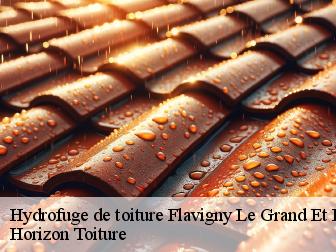 Hydrofuge de toiture flavigny-le-grand-et-beaurain-02120 Horizon Toiture