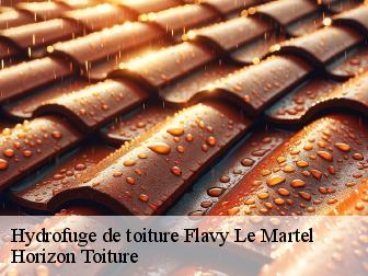 Hydrofuge de toiture flavy-le-martel-02520 Horizon Toiture