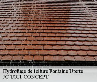 Hydrofuge de toiture  fontaine-uterte-02110 JC TOIT CONCEPT